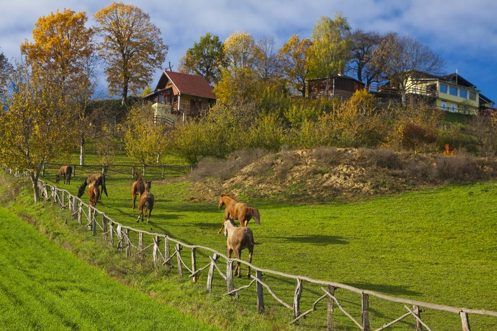 Country House Na Malenom Brijegu Бьеловар Номер фото